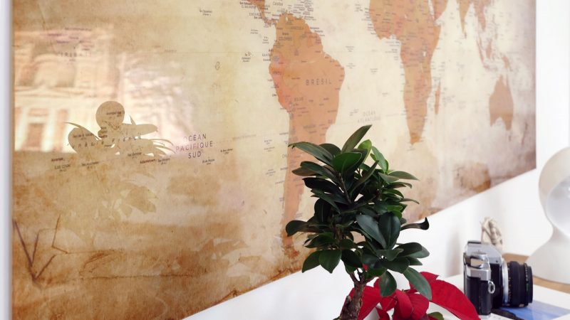 Carte Monde Plexiglas