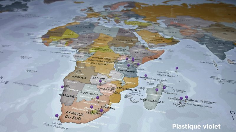 Punaises tête ronde - Plastique violet