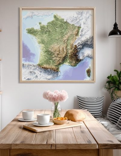 Carte de France Topographique Physique effet 3D