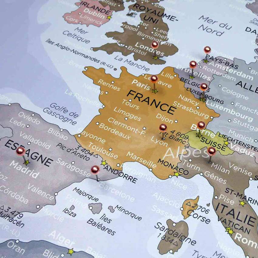 Punaises_tete-ronde Punaises_tete-ronde