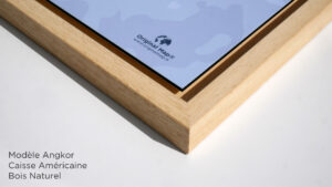 caisse_americaine_blois_naturel